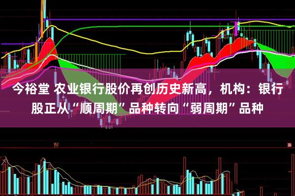 今裕堂 农业银行股价再创历史新高，机构：银行股正从“顺周期”品种转向“弱周期”品种