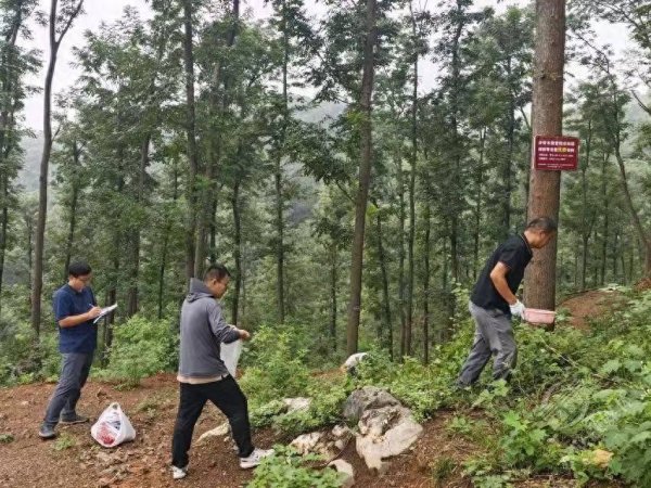 信弘优配 300亩基地、5000株母树！赤壁为湖北南酸枣种质资源库 “添新粮”